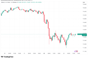 Bitcoin struggles at $113K as Fed's Bowman hints at faster rate cuts