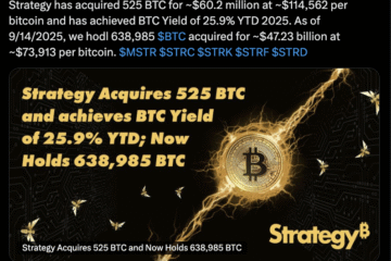 Investments, MicroStrategy, Michael Saylor