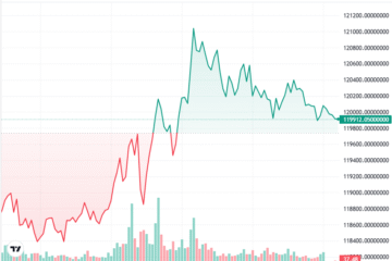 Bitcoin rallies with DeFi as Zcash tops weekly performance: Finance Redefined