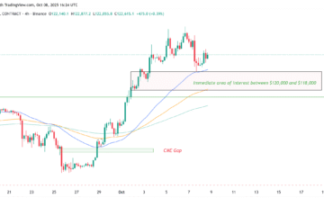 Cryptocurrencies, Bitcoin Price, Markets, Cryptocurrency Exchange, Price Analysis, Criptonoticias, Market Analysis