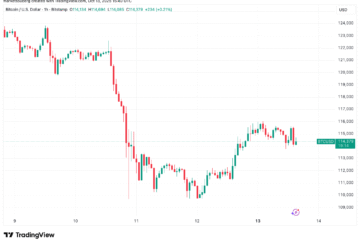 Bitcoin whale reveals 3.5K BTC short: key support levels to watch next